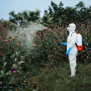 Roundup Petition News