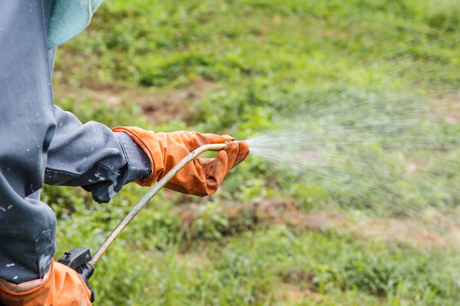 Man spraying weed killer on grass