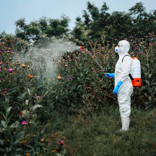 man with weed killer