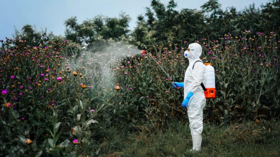 man with weed killer