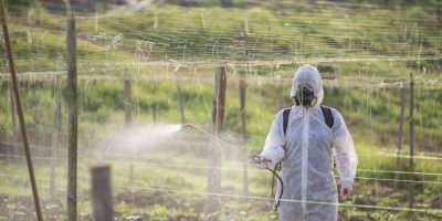 Farmer with protective suit manual pesticide sprayer on their plantation