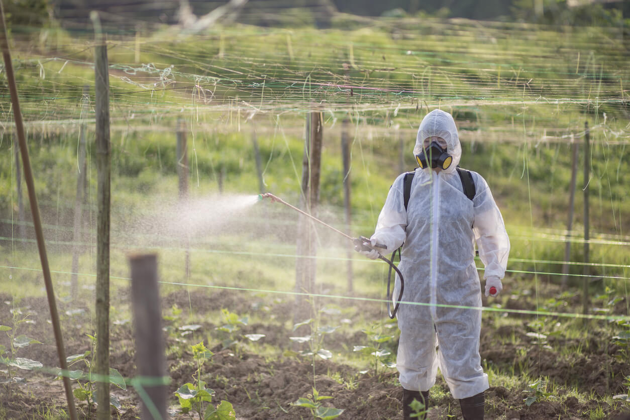 Glyphosate: What You Need to Know About Its Health Impacts