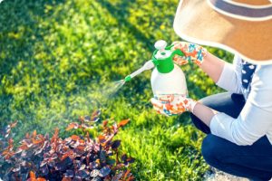 Roundup
