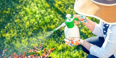 Roundup feature hero