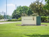 Monsanto corporate headquarters entrance sign, surrounded by green lawn with treeline on the background on a clear day.