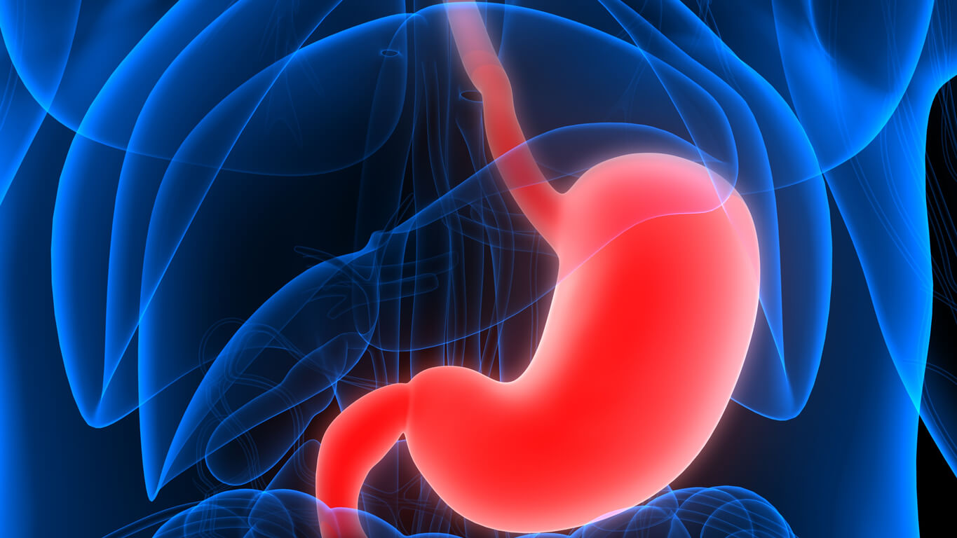 Stomach Cancer Types