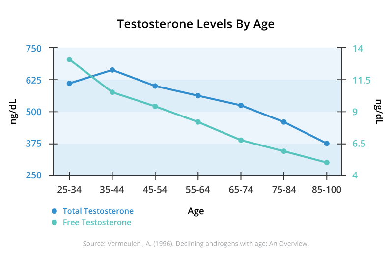 Corticosteroids Testosterone Levels