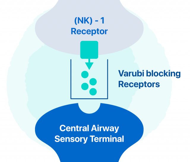 How Varubi Works Diagram