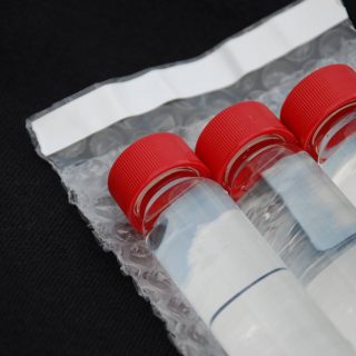 Water samples ready for testing