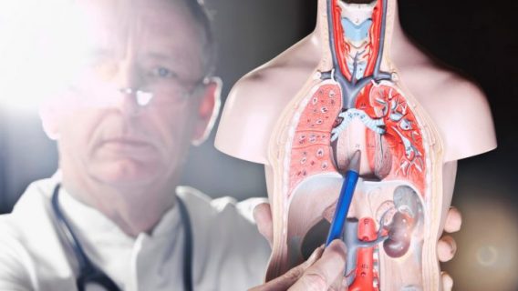 Study Links Popular Heartburn Drugs to Esophageal Cancer