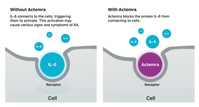 How Actemra Works Illustration