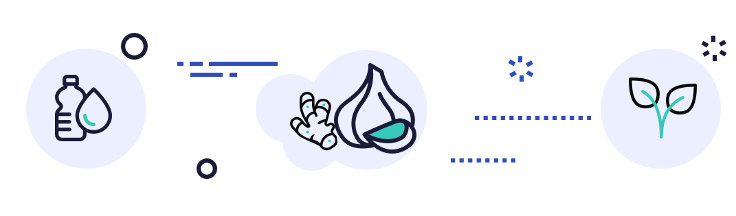 Banner with natural ingredients icons.