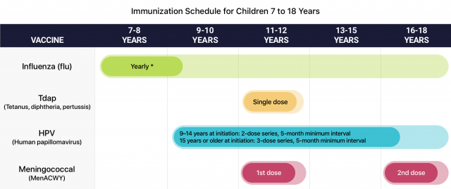 Immunization schedule for children 7 to 18 years