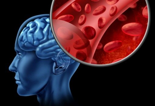 brain with blood cells brain and red blood cells illustration