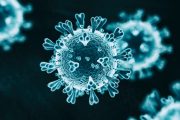 COVID-19: A Consumer’s Guide to the Coronavirus