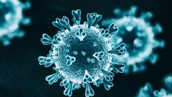 COVID-19: A Consumer’s Guide to the Coronavirus