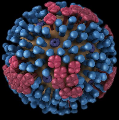 influenza Microscopic view of Influenza