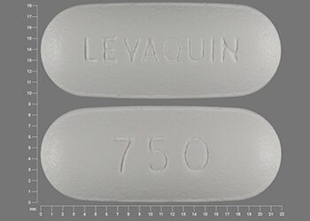 levaquin dose for cap