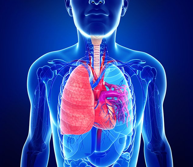 IVC Filter Complications - Organ Perforation, Migration, & Fracture