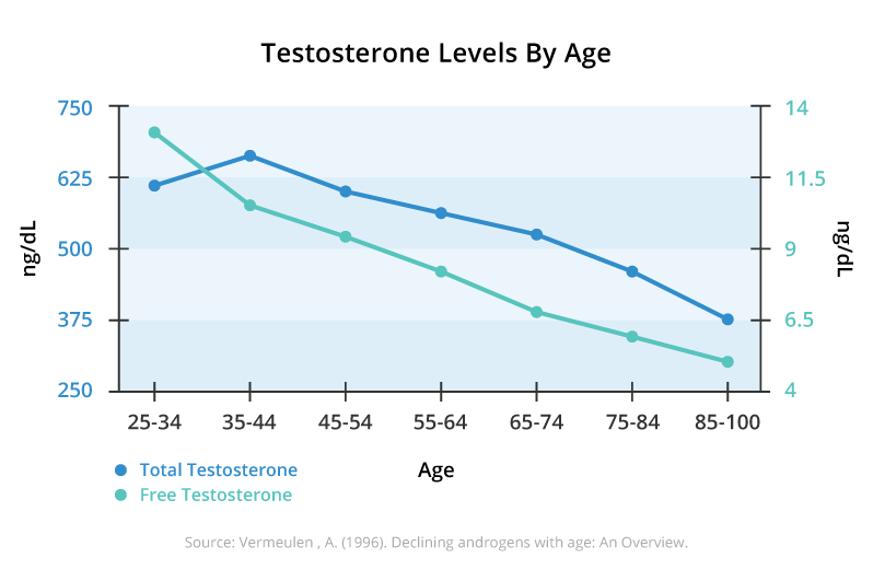 Testosterone Changes Chart