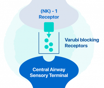 How Varubi Works Diagram